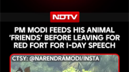 PM Modi Shares Video Of Feeding His Animal 'Friends' Before Leaving For Red Fort On Independence Day
