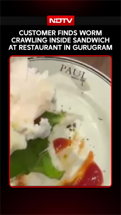 Delhi NCR News | Customer Finds Live Worm In Sandwich At Posh Gurugram Restaurant