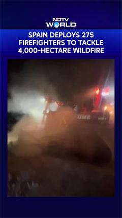 Spain Deploys 275 Firefighters To Battle Massive 4,000-Hectare Andalusia Wildfire
