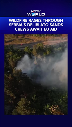 Wildfire Rages Through Serbia&rsquo;s Deliblato Sands, EU Aid Awaited