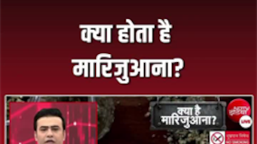 जानिए क्या होता है मारिजुआना?