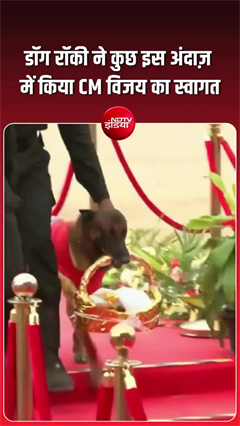 तमिलनाडु के CM विजय का इस डॉग ने जीत लिया दिल!