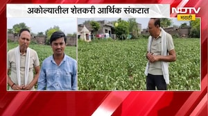 Akola Farming | अकोल्यात पाऊस नसल्याने सोयाबीन पीकं धोक्यात, शेतकरी आर्थिक संकटात | NDTV Marathi