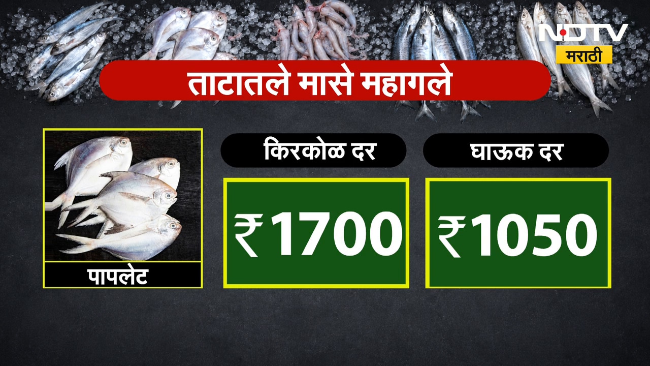 Fish Price Hike | गटारीआधीच मासे महागले, आवक घटल्याने किंमती वाढल्या, दर काय?