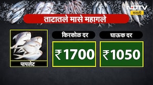 Fish Price Hike | गटारीआधीच मासे महागले, आवक घटल्याने किंमती वाढल्या, दर काय?