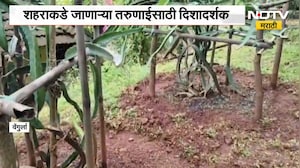 Dragon Fruit Farming | तळकोकणात आदर्श शेती, वेंगुर्ल्यात ड्रॅगन फ्रूट शेतीचा यशस्वी प्रयोग