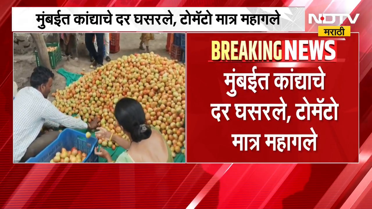 Onion Tomato Rate Today | मुंबईत कांद्याचे दर घसरले, टोमॅटो मात्र महागले | NDTV Marathi