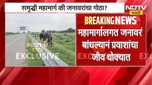 Samruddhi Mahamarg Security | महामार्ग की जनावरांचा गोठा? समृद्धी महामार्गाच्या सुरक्षेचा बोजवारा