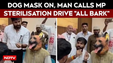 Dog Mask On, Man Claims Madhya Pradesh Sterilisation Drive All Bark, No Bite