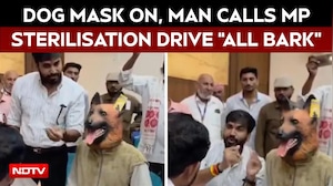 Dog Mask On, Man Claims Madhya Pradesh Sterilisation Drive All Bark, No Bite