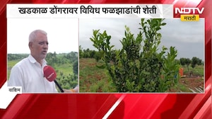 Washim Farming | खडकाळ डोंगरावर फळबागेचं नंदनवन..! 25 एकरामध्ये फुलवली संत्रा-मोसंबीची शेती