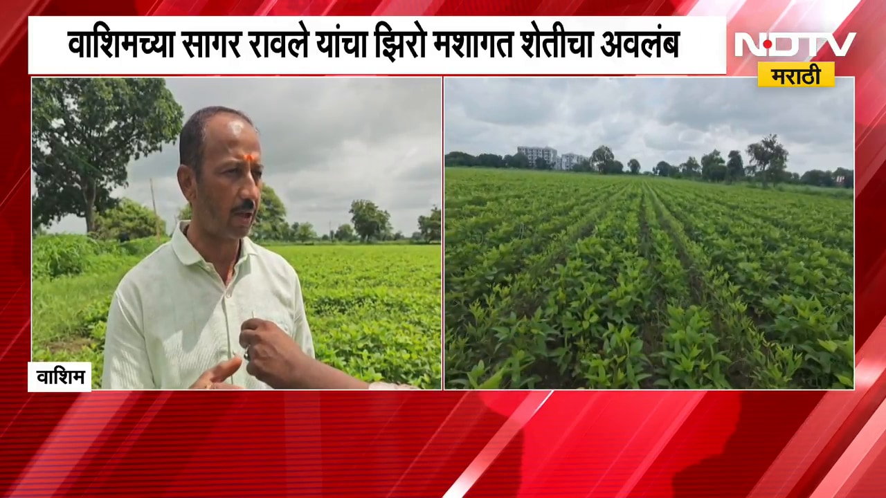 No-till Farming | रासायनिक खतांचा वापर टाळत झिरो मशागत शेती, वाशिमच्या सागर रावले यांचा प्रयोग