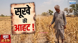 Rajasthan Water Crisis:17 जिलों में सूखे जैसे हालात | Rajasthan Drought | Top News |Mudda To Ye hai