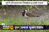 Wardha Rain Update | वर्ध्यात पावसाची 31% तूट, नागरिकांची चिंता वाढली ।  NDTV मराठी