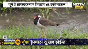 Wardha Rain Update | वर्ध्यात पावसाची 31% तूट, नागरिकांची चिंता वाढली ।  NDTV मराठी