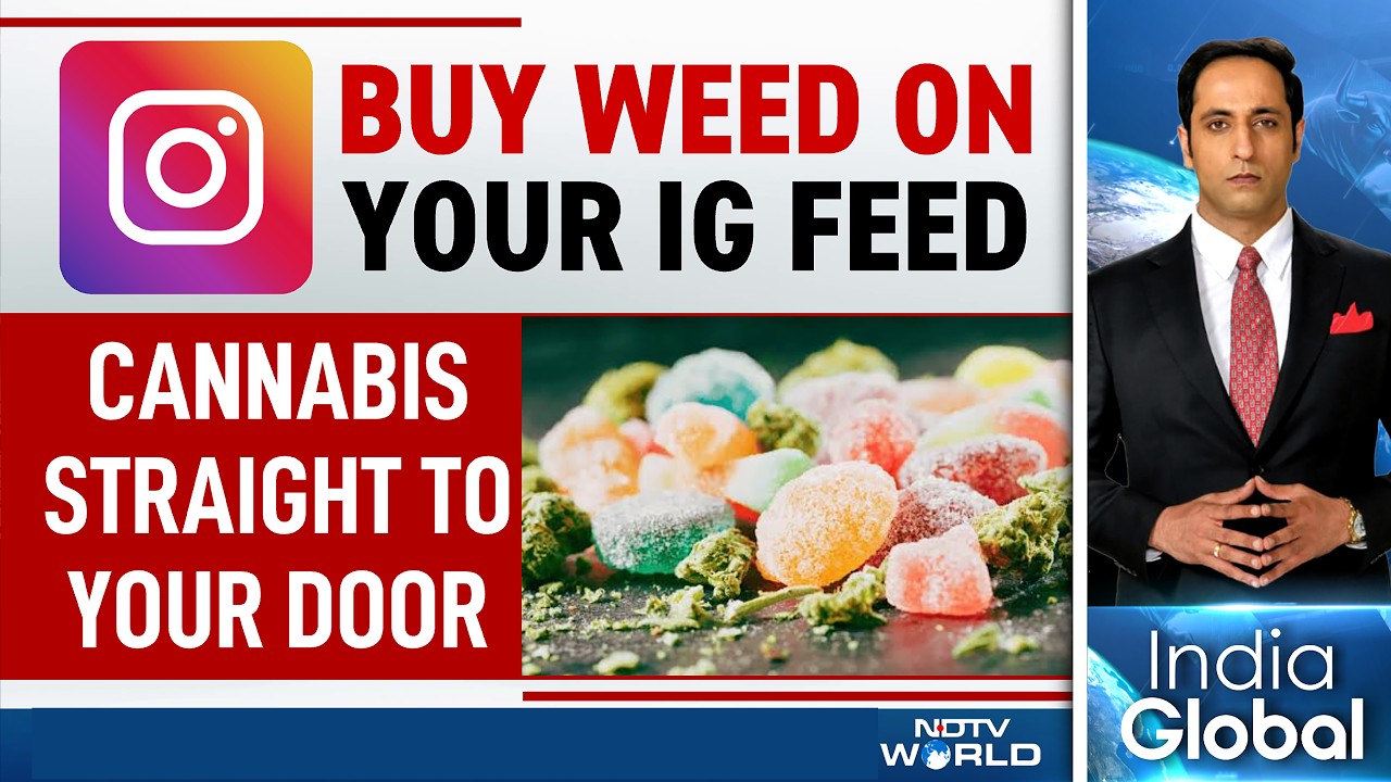 THC Now D2C: How Cannabis Social Media Wellness Brands Are Bypassing Narcotic Laws via Instagram