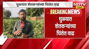 Dhule | Rain Updates | धुळ्यात जुलैनंतर पावसाची दडी; कपाशी, मका, हरभरा संकटात