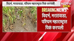 चिंता वाढवणारी बातमी: येत्या काळात अल निनोचा प्रभाव वाढण्याची शक्यता ।  NDTV मराठी