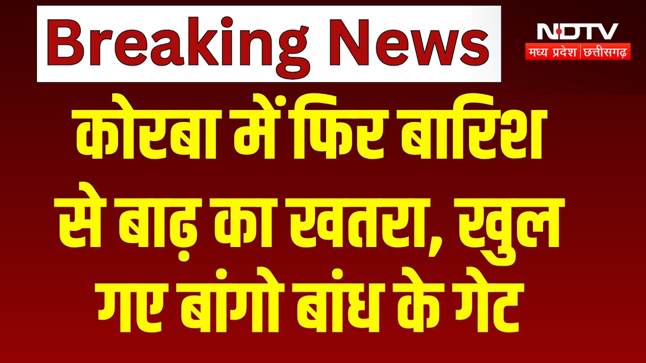 Korba Flood Alert: कोरबा में फिर बारिश से बाढ़ का खतरा, खुले बांगो बांध के गेट। Breaking News। Rain