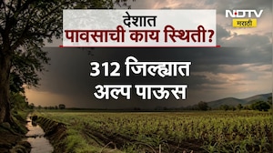 Rain Alert| राज्यात 15 जिल्ह्यात कमी पावसाची नोंद; विदर्भ, मराठवाडा, पश्चिम महाराष्ट्रात पिके करपली