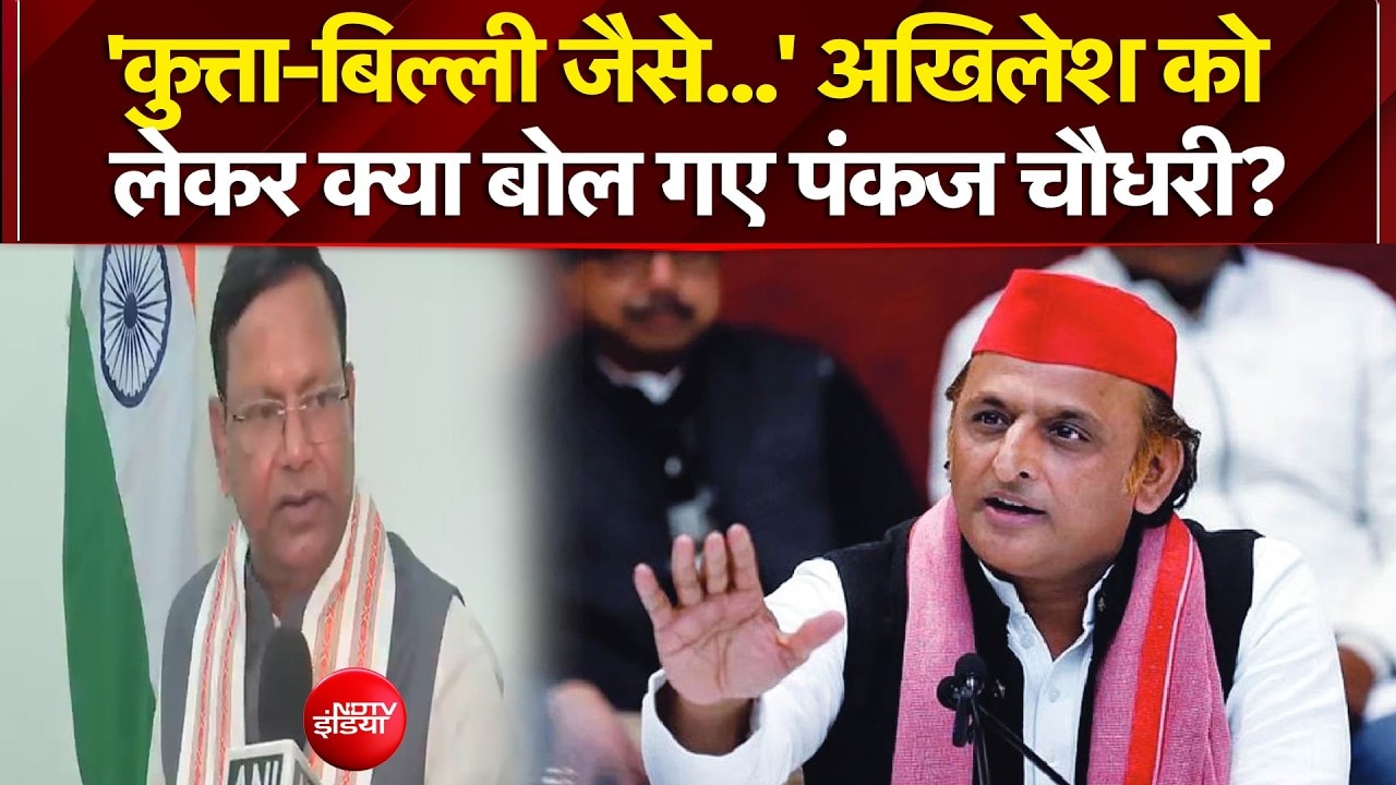 'कुत्ता-बिल्ली जैसे...' अखिलेश को  लेकर ये क्या बोल गए पंकज चौधरी?