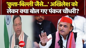 'कुत्ता-बिल्ली जैसे...' अखिलेश को  लेकर ये क्या बोल गए पंकज चौधरी?