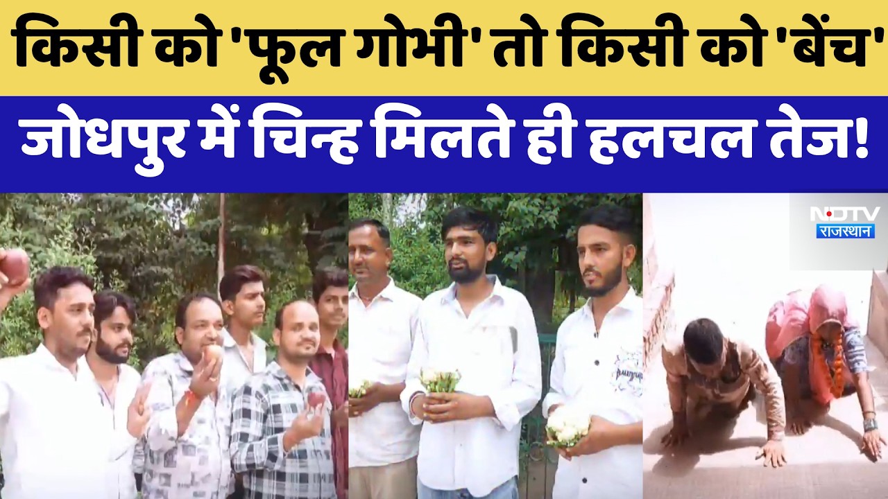 Jodhpur Nikaay Chunav: प्रत्याशियों को मिले Election symbol | Top News | Rajasthan Politics