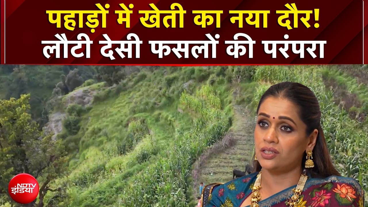 पहाड़ों में खेती का नया दौर! लौटी देसी फसलों की परंपरा