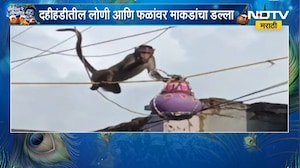 Raigad | Dahi Handi | रायगडच्या मुरूडमध्ये गोपाळकाल्यात &lsquo;मर्कटलीला&rsquo; | NDTV Marathi