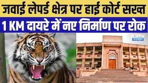 Rajasthan High Court: जवाई में लेपर्ड संरक्षण को लेकर आदेश, नाइट सफारी और ड्रोन गतिविधियों पर रोक