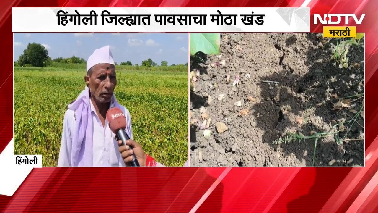 Hingoli जिल्ह्यात पावसाचा मोठा खंड, पावसाअभावी खरिपाची पिके करपली | NDTV Marathi