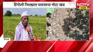 Hingoli जिल्ह्यात पावसाचा मोठा खंड, पावसाअभावी खरिपाची पिके करपली | NDTV Marathi
