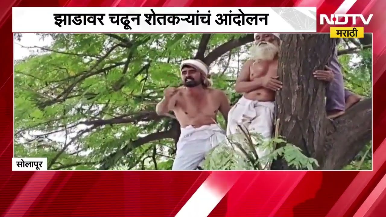Solapur | Gokul साखर कारखान्याविरोधात झाडावर चढून शेकऱ्यांचं आंदोलन | NDTV Marathi