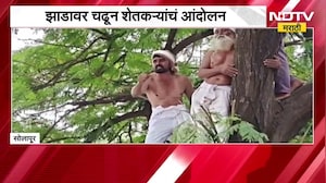 Solapur | Gokul साखर कारखान्याविरोधात झाडावर चढून शेकऱ्यांचं आंदोलन | NDTV Marathi