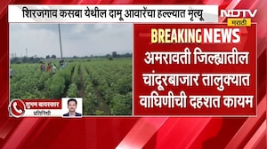 Amravati | अमरावतीच्या चांदूरबाजारमध्ये वाघिणीची दहशत कायम, नवनीत राणा यांची मागणी काय?