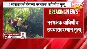 Amravati | अमरावतीतील 'त्या' वाघिणीचा मृत्यू, प्रशासन चौकशी करणार का? | NDTV Marathi
