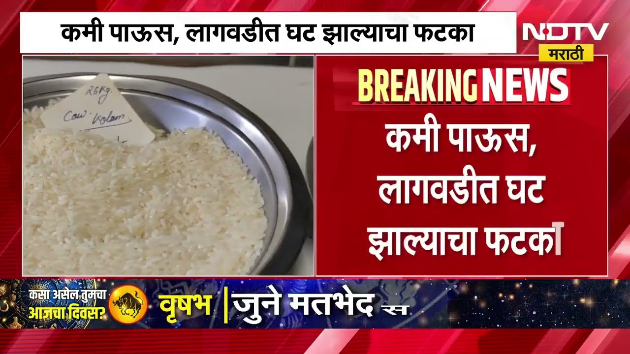Drop in Rice Production| तांदूळ उत्पादनात 70 लाख टनांची घट?; कमी पाऊस, लागवडीत घट झाल्याचा फटका