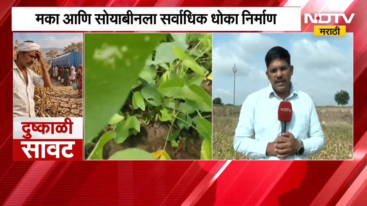 Marathwada Drought| मराठवाड्यावर 14 वर्षांनंतर दुष्काळाचे सावट, पाणीसाठे राखीव ठेवण्याचे आदेश | NDTV