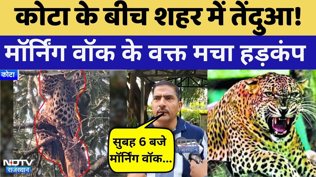 Leopard Rescue: Kota के सीबी गार्डन में तेंदुए की दस्तक! | Breaking News | Top News | Tenduwa