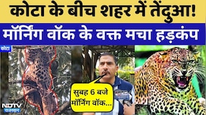 Leopard Rescue: Kota के सीबी गार्डन में तेंदुए की दस्तक! | Breaking News | Top News | Tenduwa
