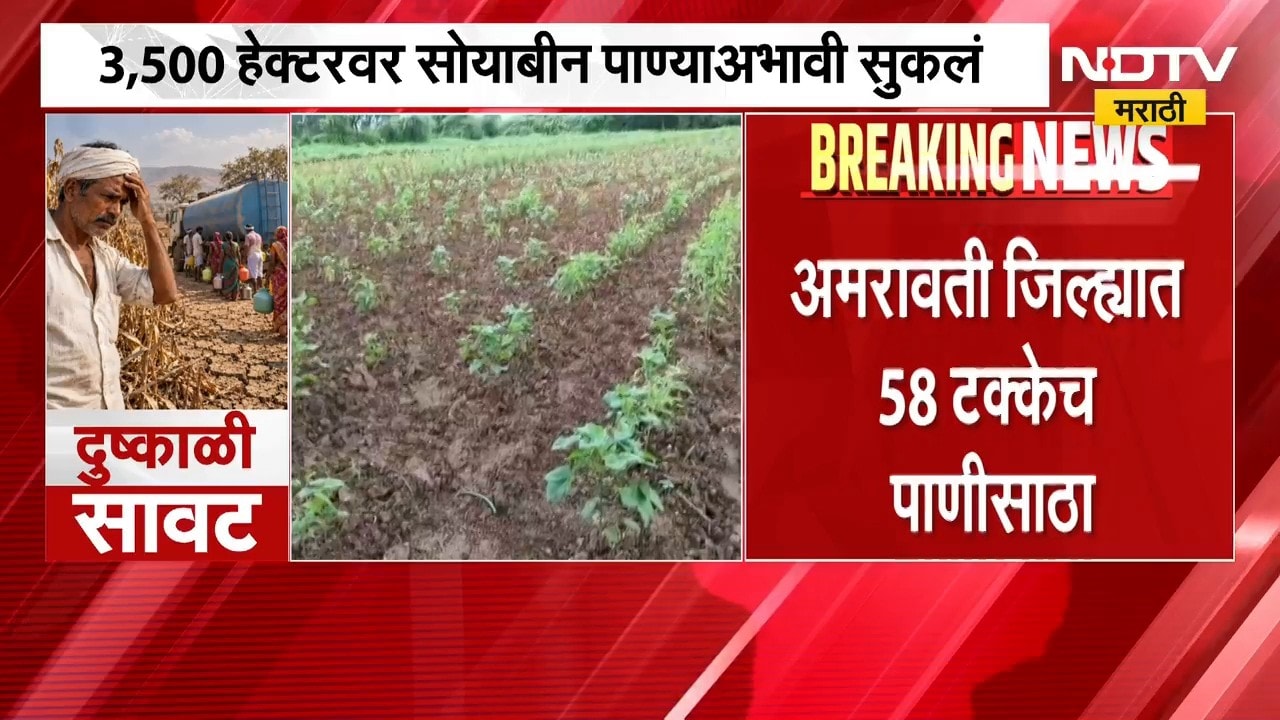 पावसाची तूट, विदर्भात स्थिती भयानक; Amravati जिल्ह्यात 58 टक्के पाणीसाठा | NDTV Marathi