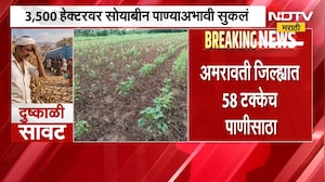 पावसाची तूट, विदर्भात स्थिती भयानक; Amravati जिल्ह्यात 58 टक्के पाणीसाठा | NDTV Marathi