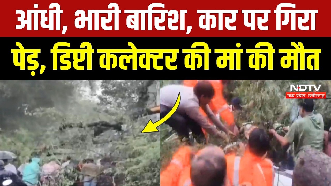 Heavy Rain In Indore: बारिश का कहर, कार पर पेड़ गिरने से Deputy Collector की मां का निधन | Breaking