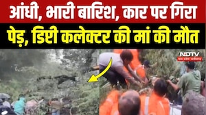 Heavy Rain In Indore: बारिश का कहर, कार पर पेड़ गिरने से Deputy Collector की मां का निधन | Breaking