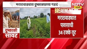 Marathwada Drought | मराठवाड्यात 35 दिवसांपासून पावसाचा खंड, पावसाची 34 टक्के तूट | NDTV Marathi