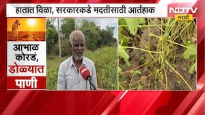 Beed | Rain News | आभाळ कोरडं, सोयाबीन जळून खाक; शेतकऱ्याची सरकारकडे मदतीची आर्तहाक