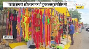 Ahilyanagar | पावसाअभावी अहिल्यानगरमध्ये दुष्काळसदृश्य परिस्थिती, बैलपोळा सणावर परिणाम