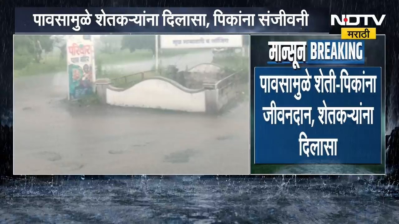 Rain News | महिनाभराच्या प्रतीक्षेनंतर बुलढाणा आणि इंदापुरात पावसाच्या सरी, शेतकऱ्यांना दिलासा