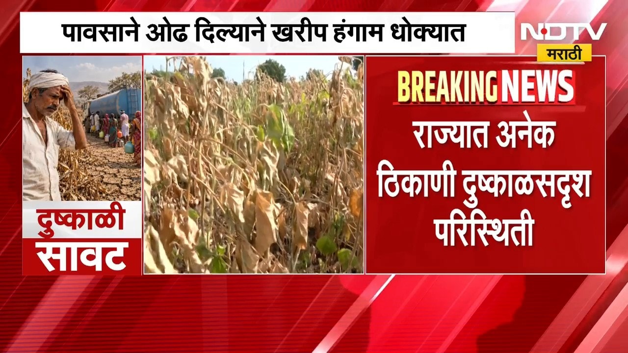 Maharashtra Drought | राज्यात दुष्काळसदृश्य परिस्थिती, पावसाने ओढ दिल्याने खरीप हंगाम धोक्यात