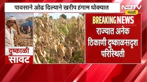 Maharashtra Drought | राज्यात दुष्काळसदृश्य परिस्थिती, पावसाने ओढ दिल्याने खरीप हंगाम धोक्यात